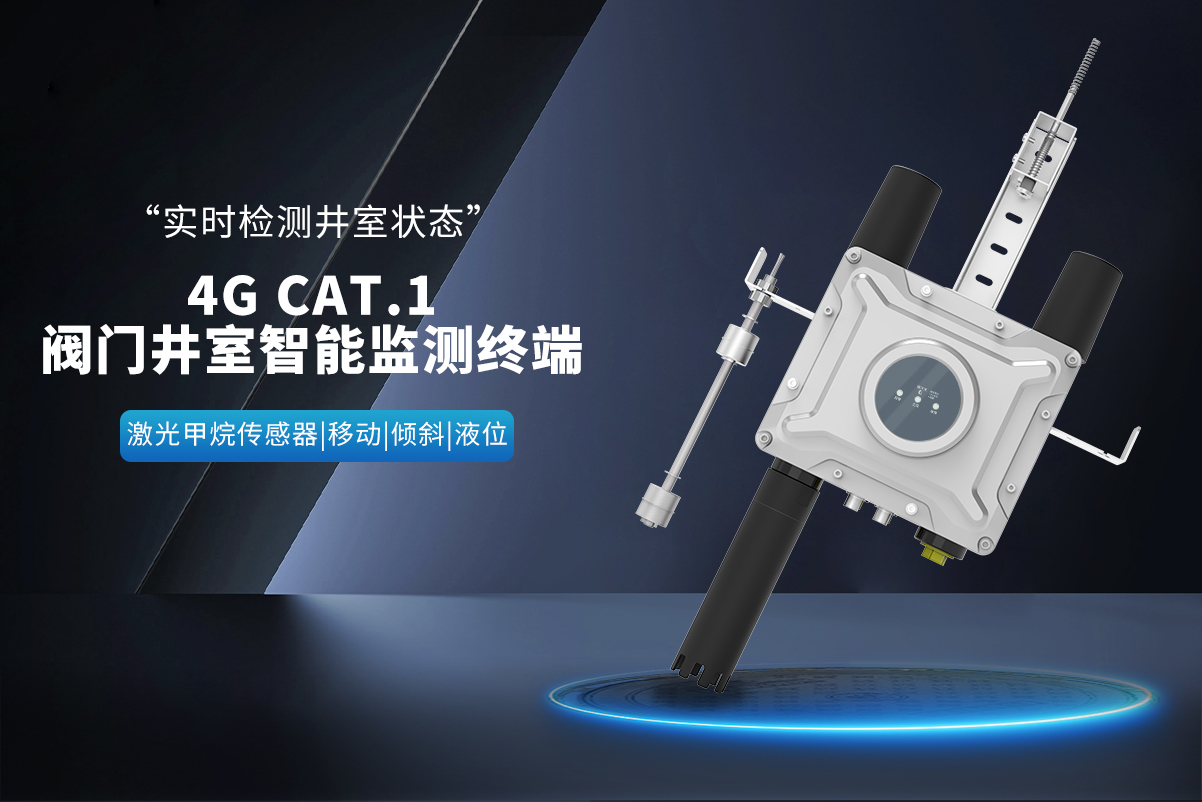 LS-836-53阀门井室智能检测终端-详情页_01